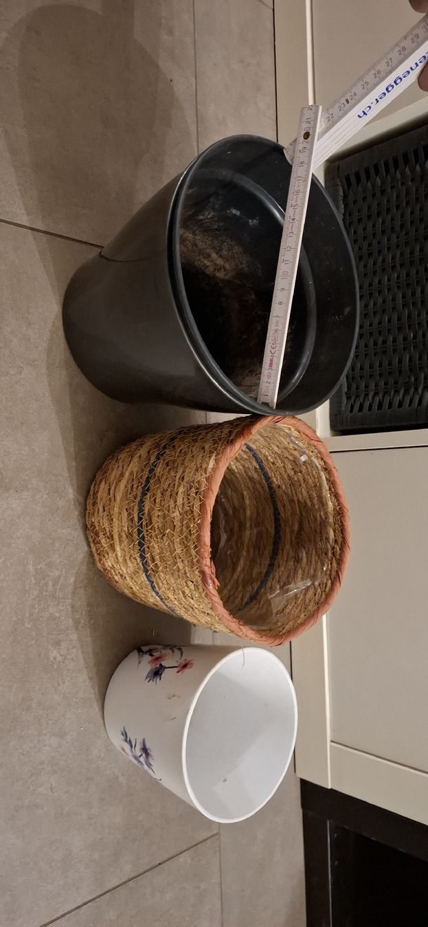 Pots de fleurs: Pots et cache-pots à vendre – D'occasion à Neuchâtel par dam_gms7 4