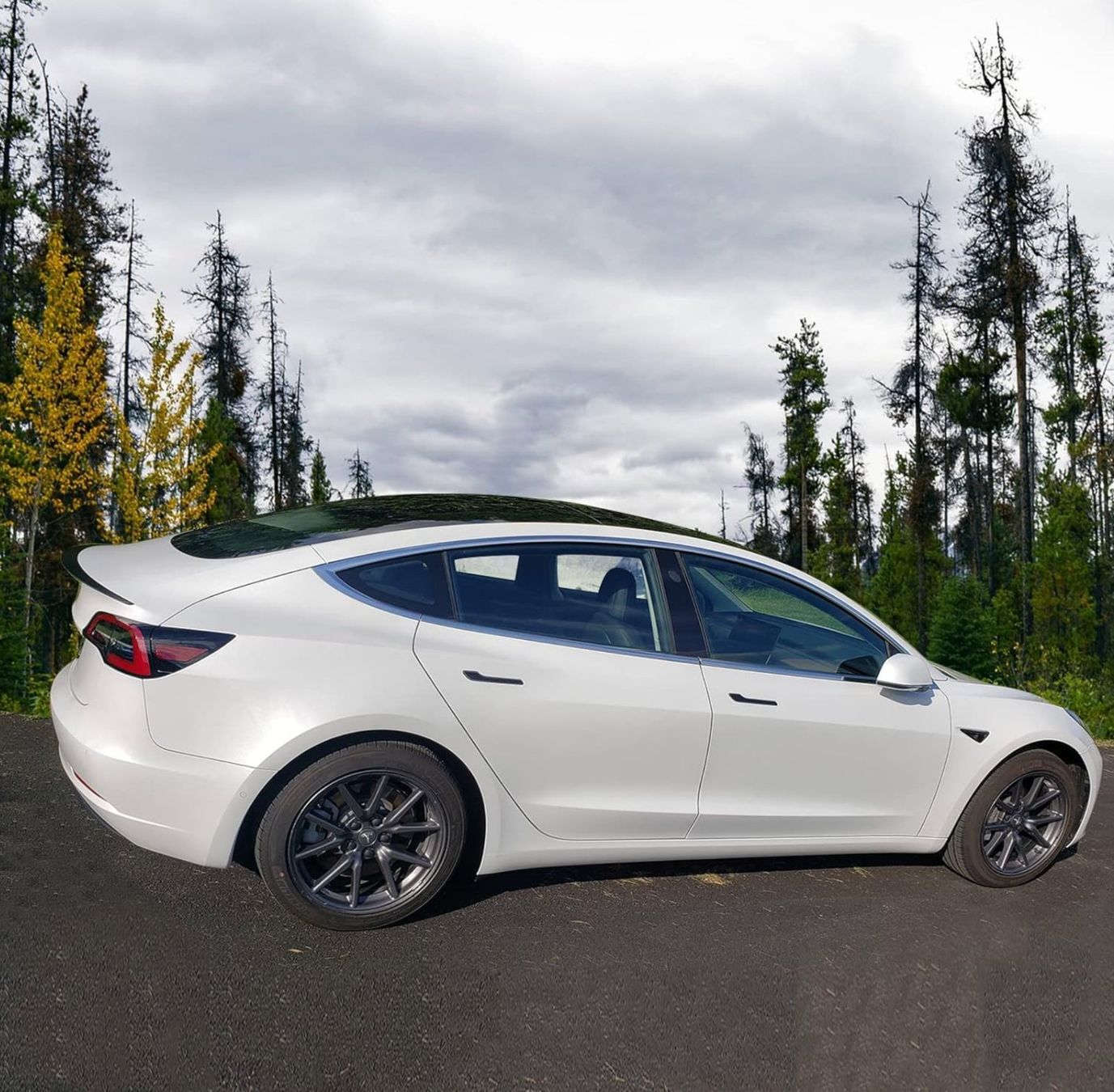 Tutti pezzi di ricambio auto: 100% CARBON Heckspoiler zu Tesla Model 3 NEU – Nuovo e nell'imballaggio originale da Bergdietikon venduto da shopAgent 1