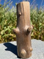 Kerzenständer Schwemmholz naturbelassen Teelicht Handarbeit