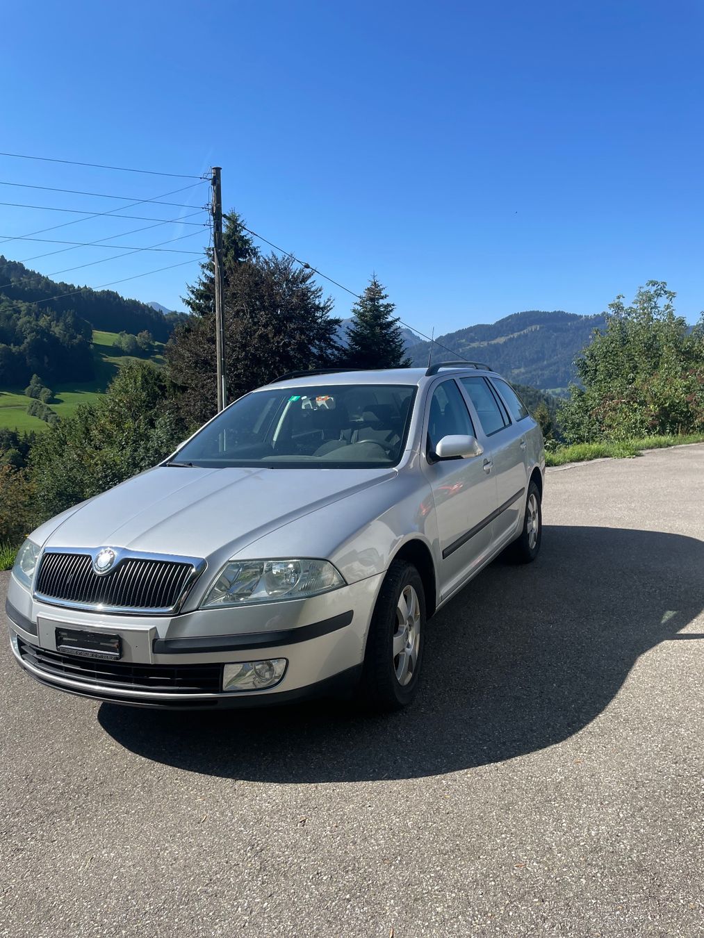 Skoda Automobili: Skoda Octavia 1,9 Tdi 4x4 – Usato da Ennetbühl venduto da lie_9ztg