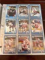 SC Rapperswil-Jona Sammelkarten Player Trading Cards 1993/94
