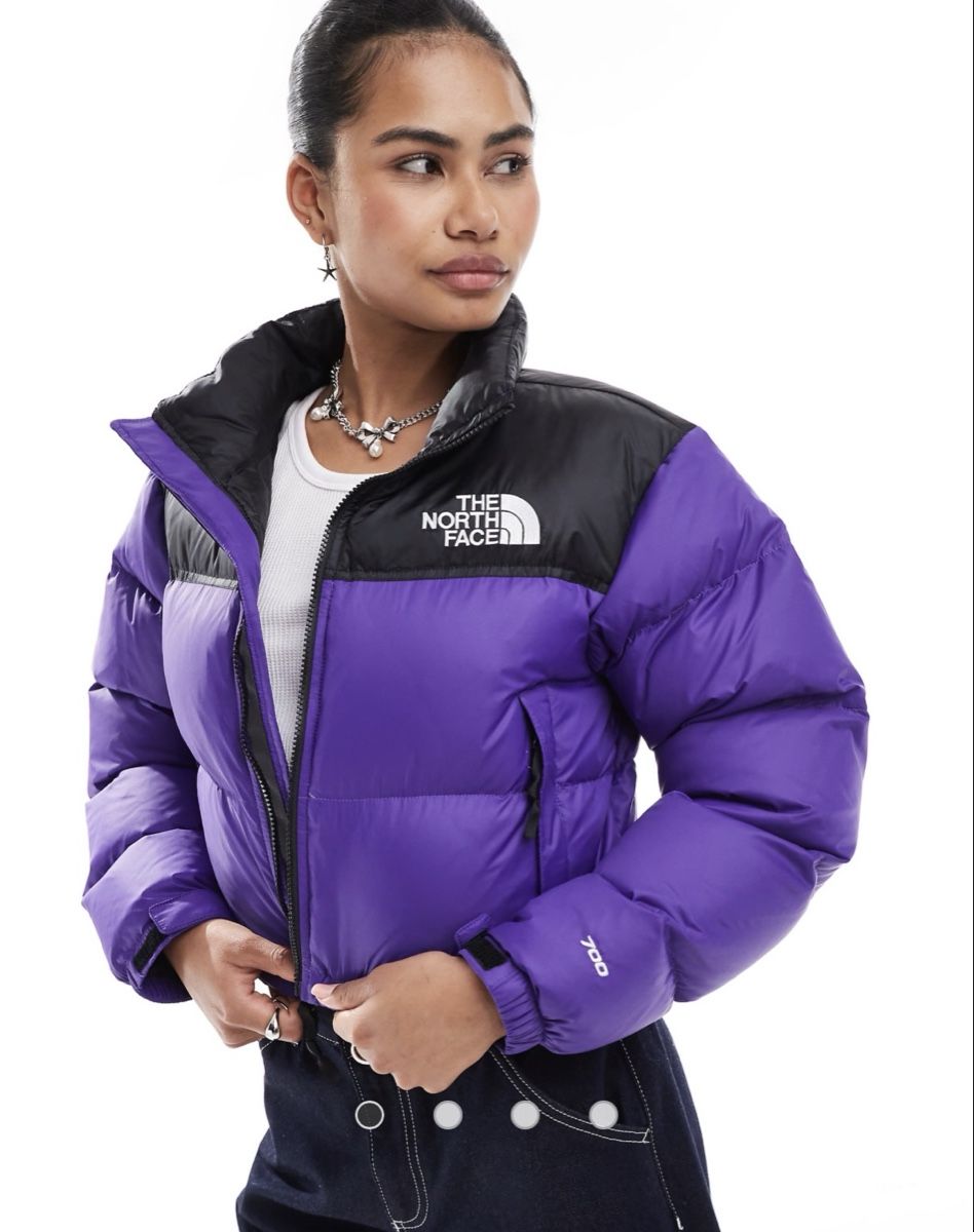 North Face Giacche: The north face puffer 700 – Nuovo (secondo la descrizione) da Zürich venduto da lar_8826 3
