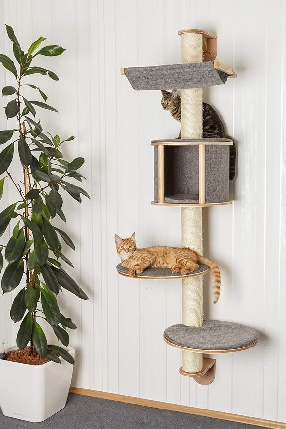 Katzenbaum - Kratzbaum: Kerbl Wandkratzbaum Dolomit Tofana – Neu und originalverpackt aus Andwil TG von Vr-shopswiss 3
