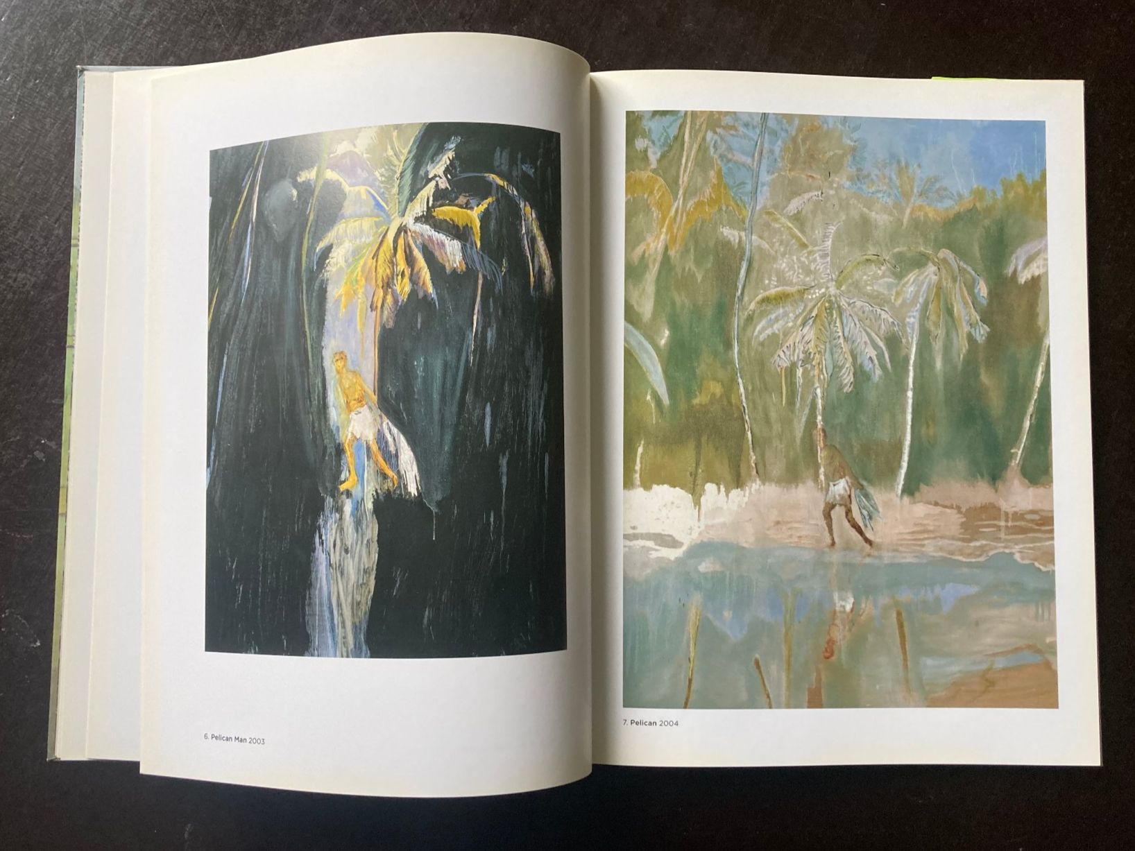 Libri: Peter Doig: Metropolitain – Usato da zürich venduto da Tombola8 3