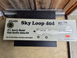 Sky Loop 404 von Pilot/ OK Modell