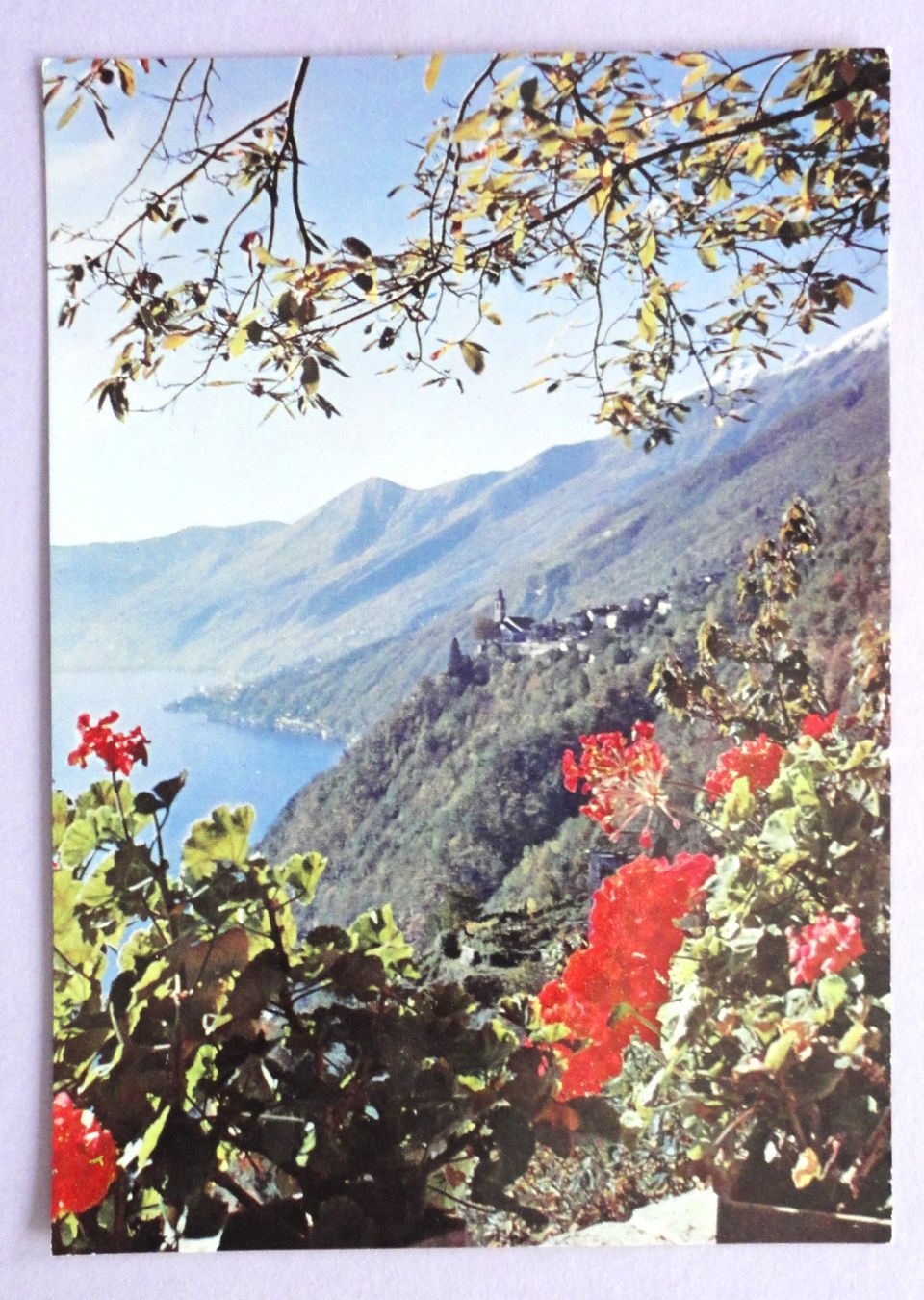 Cartoline postali: Ronco s/Ascona, Lago Maggiore – Usato da Fétigny venduto da Billy2miny