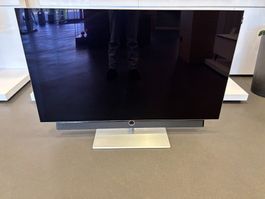 LOEWE - OLED - Bild 4.55 - 55 Zoll - TOP Zustand