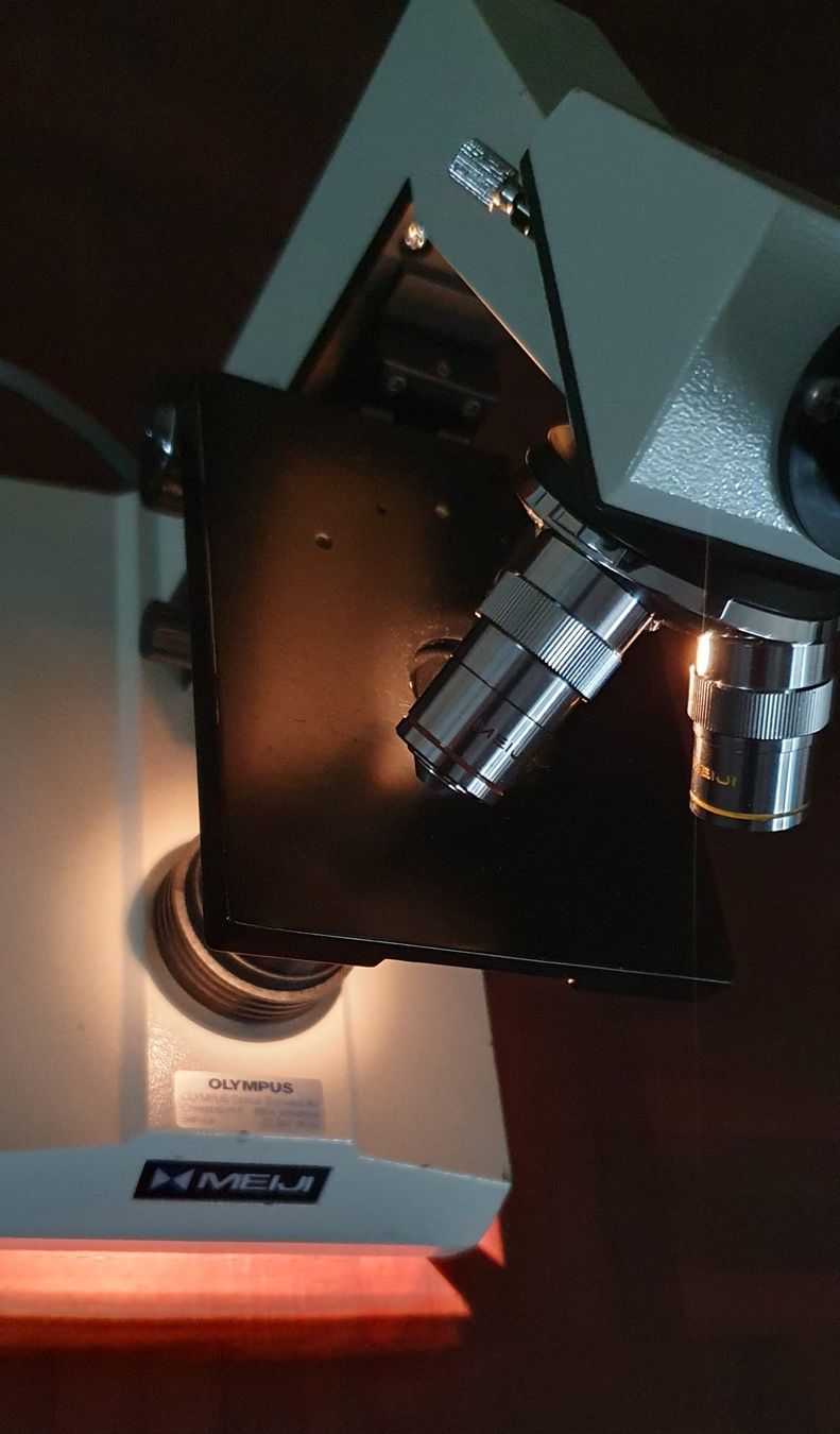 Olympus Microscopi: Mikroskop MEIJI TECHNO – Usato da Kreuzlingen venduto da Rschweiz1 5
