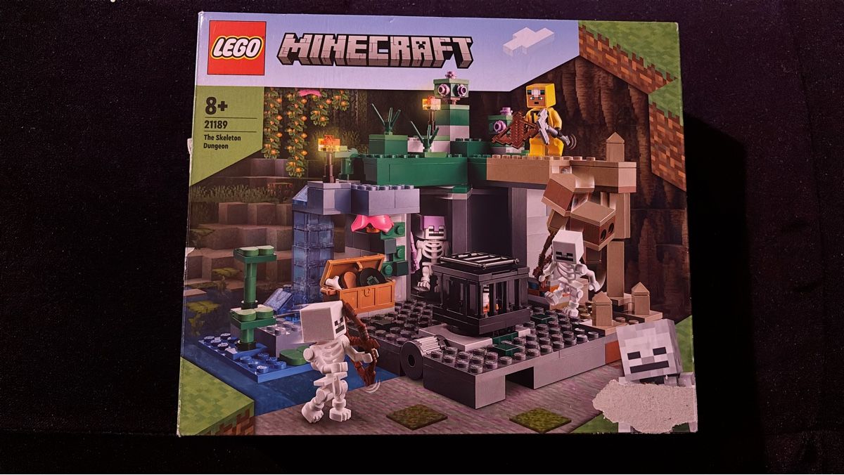Lego Baukästen: Lego Minecraft 21189 The Skeleton Dungeon – Gebraucht aus Zürich von hiddentreasures_zh