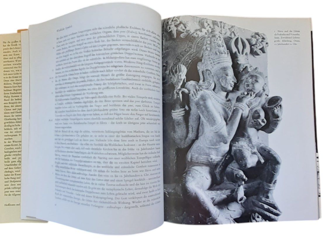 Libri: Geschichte der erotischen Kunst – Usato da Mörschwil venduto da aik_x8mc 6