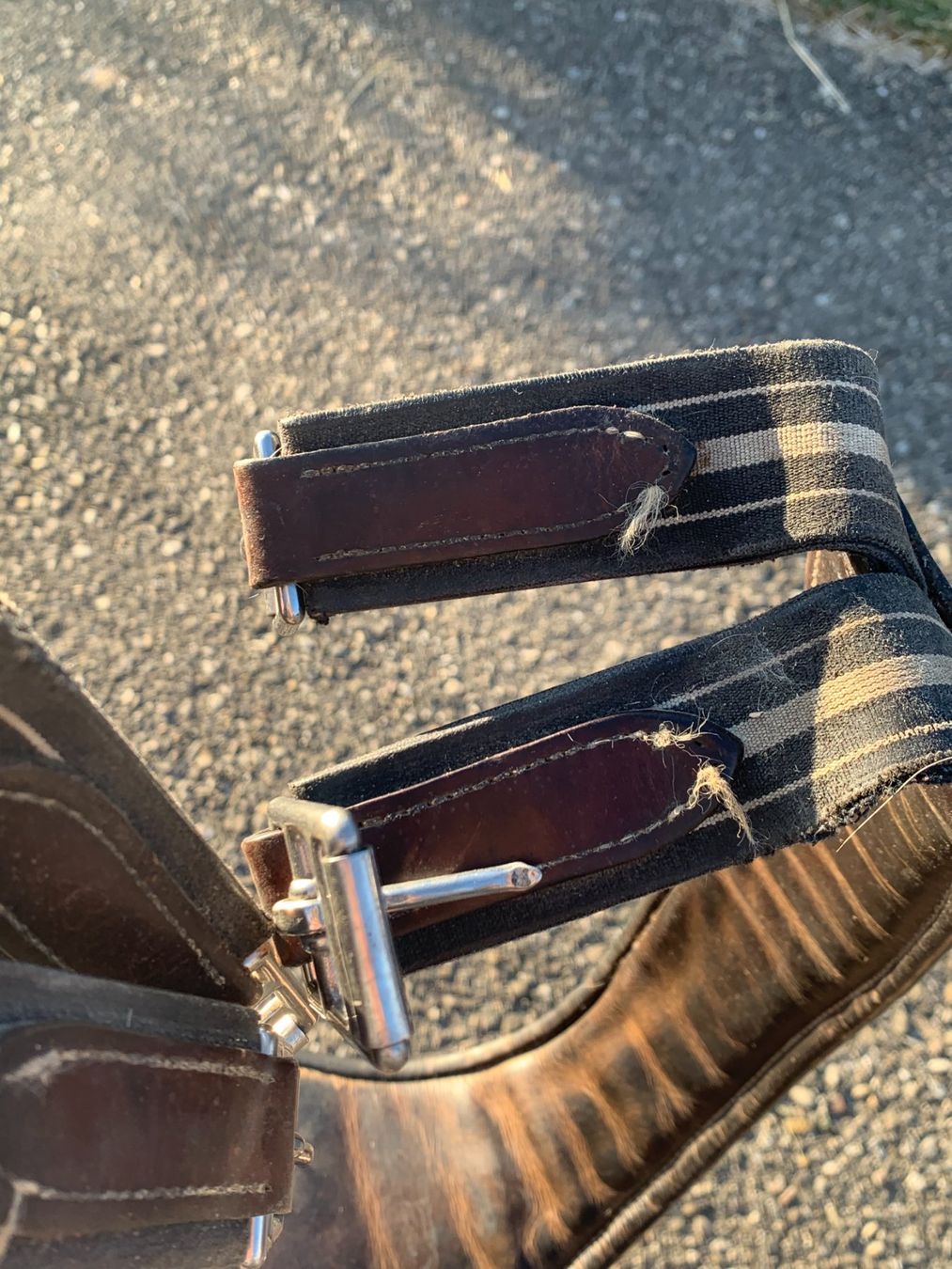 Selle & Accessori: Sangle Antarès – Usato da Lamboing venduto da pet_djp8 6