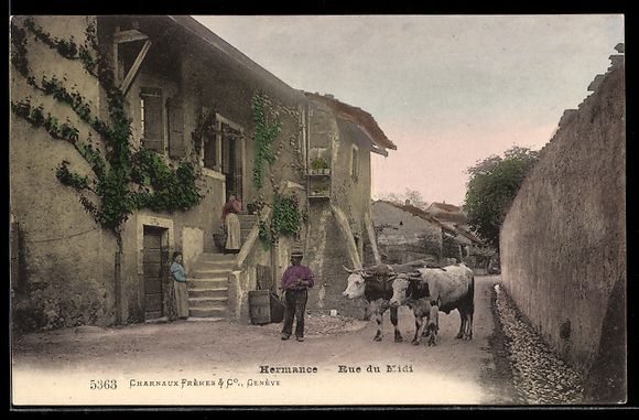 Cartoline postali: AK Hermance, Rue du Midi – Usato da Berlin venduto da bartko-reher