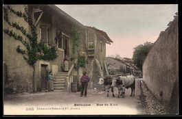 AK Hermance, Rue du Midi