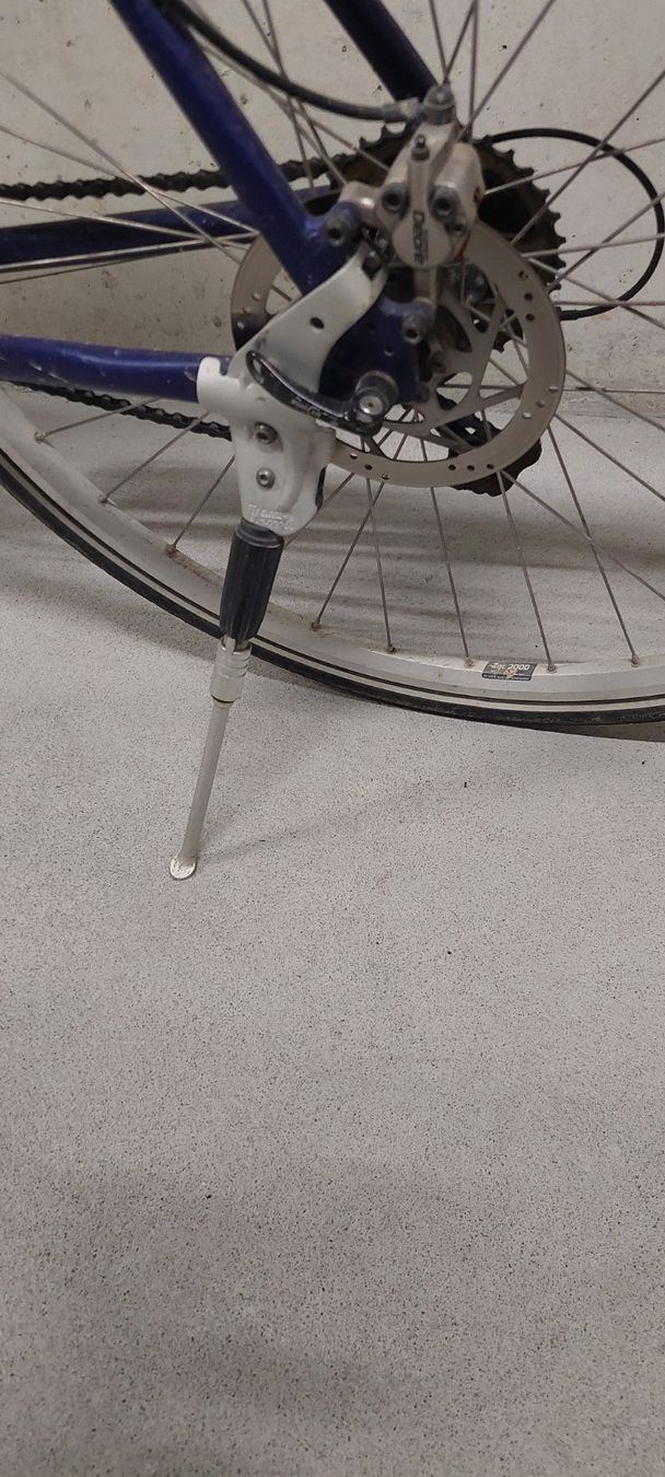 Cresta Velos: Herrenvelo Cresta – Gebraucht aus Kyburg-Buchegg von herewegomagic 3