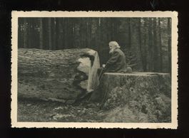 Der alte Mann und die Eiche