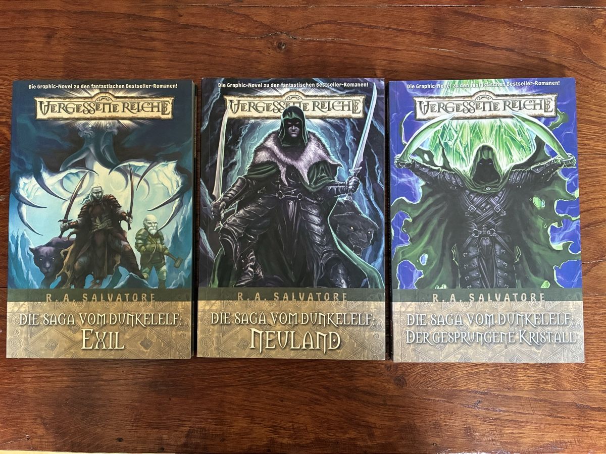 BD: Die Saga vom Dunkel-Elf - Dungeons and Dragons Comic – D'occasion à Solothurn par sebastianernst87