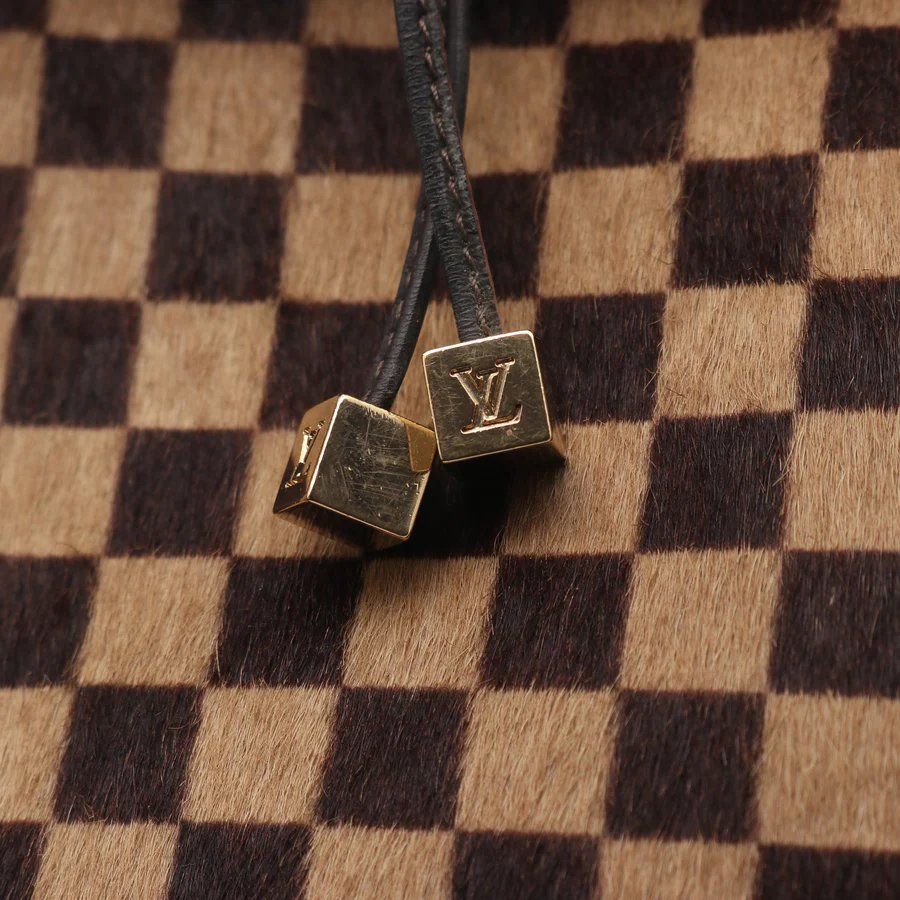Louis Vuitton Borse da donna: LV Lion Damier Sauvage Handbag – Usato da Chamoson venduto da Sapoloshop 3