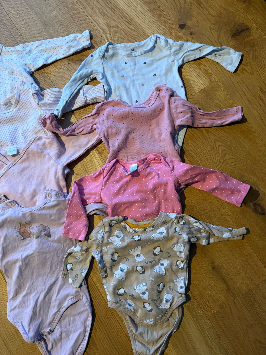 Lotti & Set di vestiti: 12 Mädchen Langarm Bodys 68 – Usato da Schaffhausen venduto da fiiat_500 1