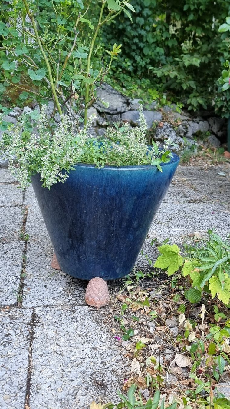 Vasi per fiori: Keramiktopf dunkelblau – Usato da Twann venduto da MW51 3