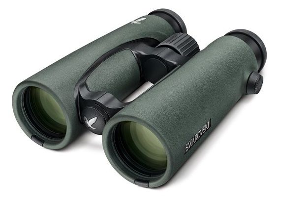 Swarovski Optik Binocoli: Swarovski Optik EL 8.5x42 Fernglas – Nuovo e nell'imballaggio originale da Wolfhausen venduto da Foto-Brocki 1