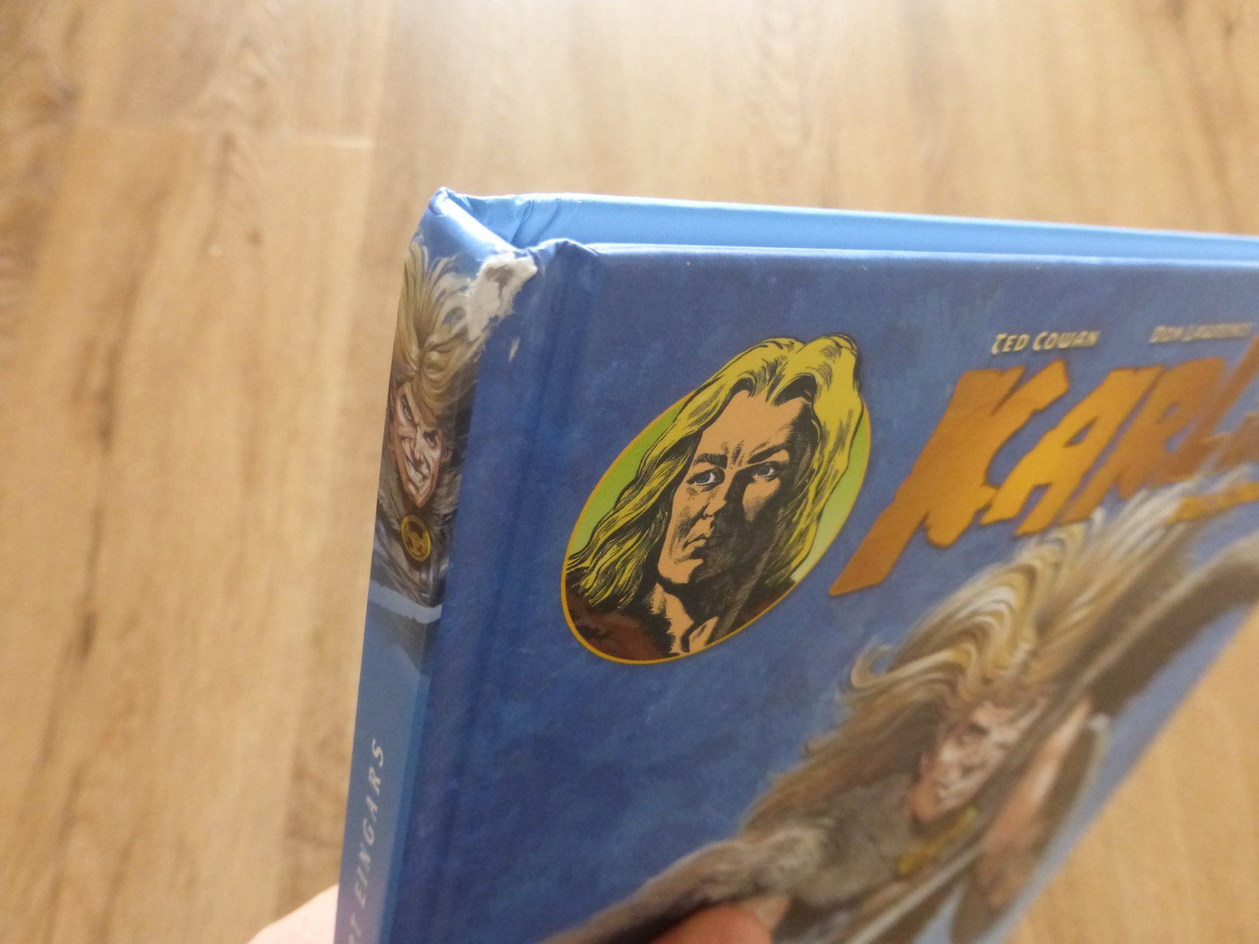 Fumetti: Karl der Wickinger Comic – Usato da Zumikon venduto da psisound 2