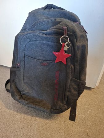 Praktischer Dakine Rucksack, ideal für Schule/Arbeit!