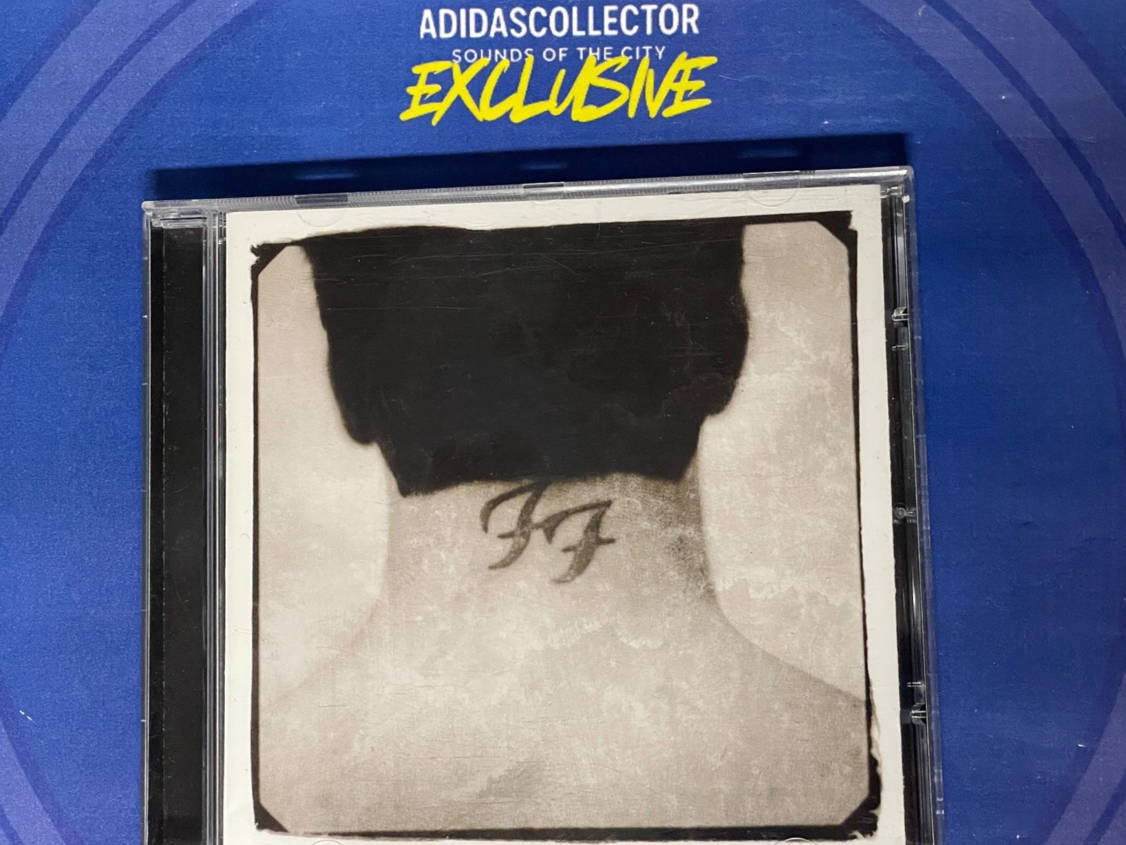 CD: Foo Fighters-There Is Nothing Left – Usato da Muri b. Bern venduto da AdidasCollector