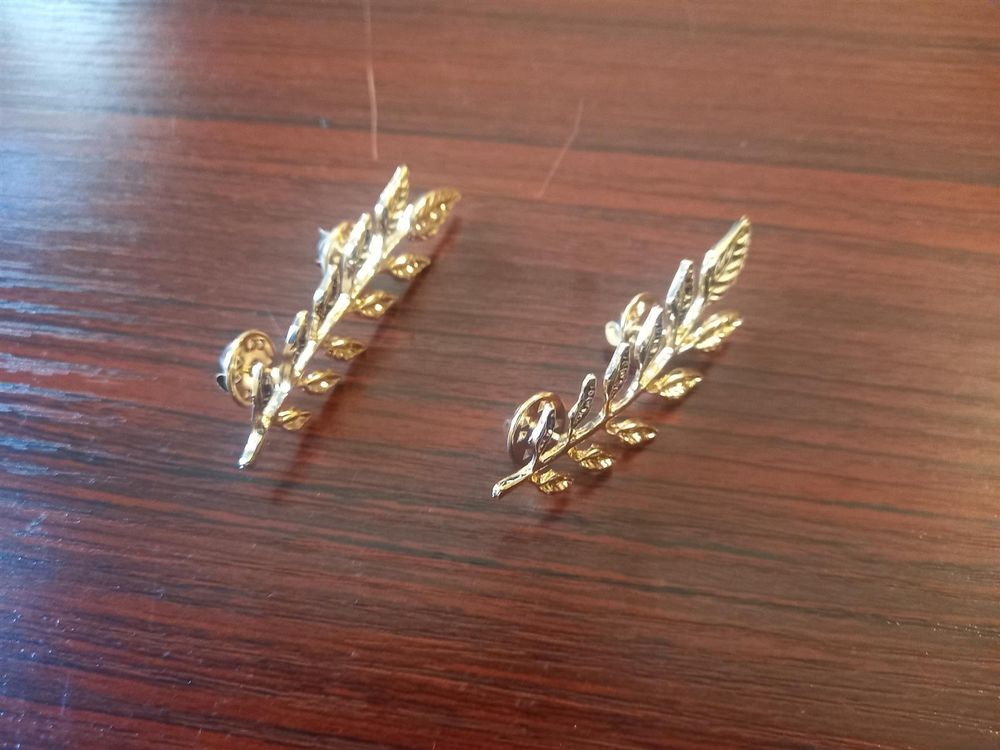 Set mit 10 Retro Ährenbroschen / 10x broches rétro épis blé Kaufen