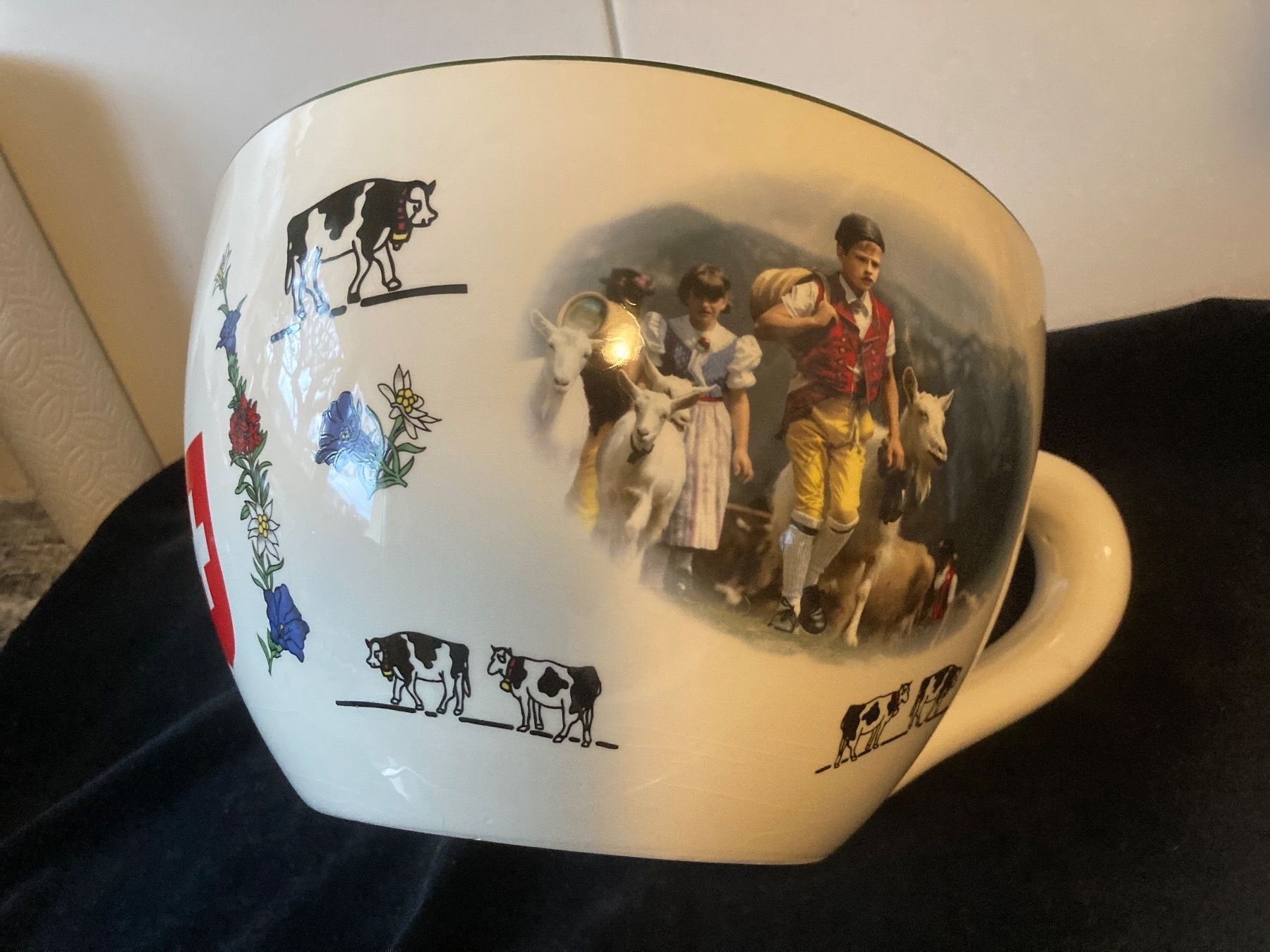 Blumentöpfe: Sehr grosse Schweizer-Tasse als Übertopf – Defekt aus Zürich von Chaeffeler 2