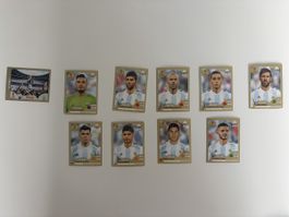 Argentinien Fussball Panini Stickers WM 2018