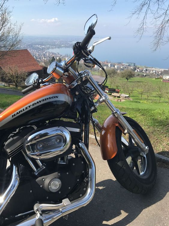 Harley Davidson Sportster 1200 Custom CA (+Jekyll & Hyde) Kaufen auf