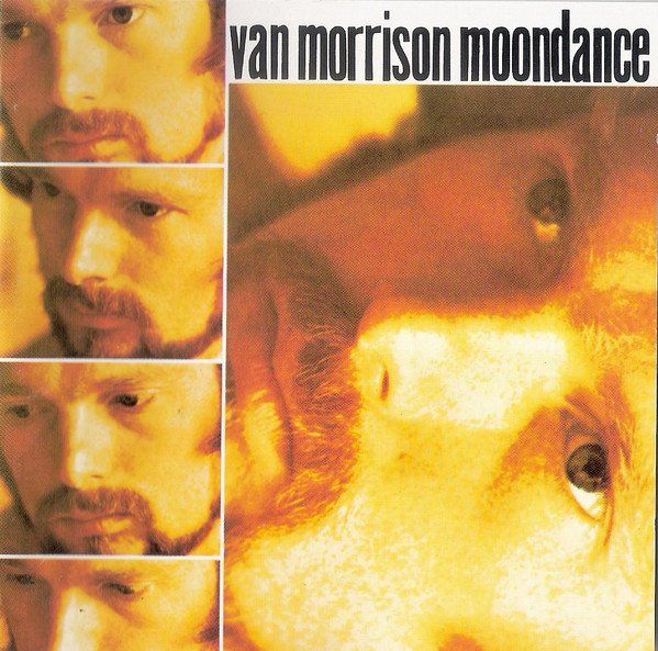 CDs: Van Morrison – Moondance - b – D'occasion à Brittnau par Zibu