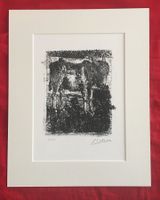 Pablo Picasso   Buffon Zyklus    "L' Ane"   Lithographie