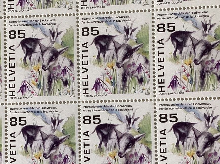 Tutti i francobolli: 20x -.85 Briefmarken postfrisch Biodiversität 2010 – Nuovo (secondo la descrizione) da Seftigen venduto da Muggelwomb