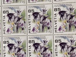 20x -.85 Briefmarken postfrisch Biodiversität 2010