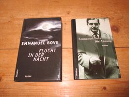 2 Romane von Emmanuel Bove