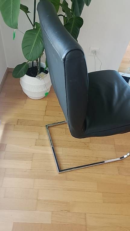Sedie: Freischwinger-Stuhl - Leder - in Schwarz – Usato da Willisau venduto da mustanggti81 4