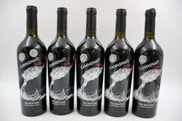 5x Cannonau di Sardegna Risevra 2022 - Rotwein (26060968Z)
