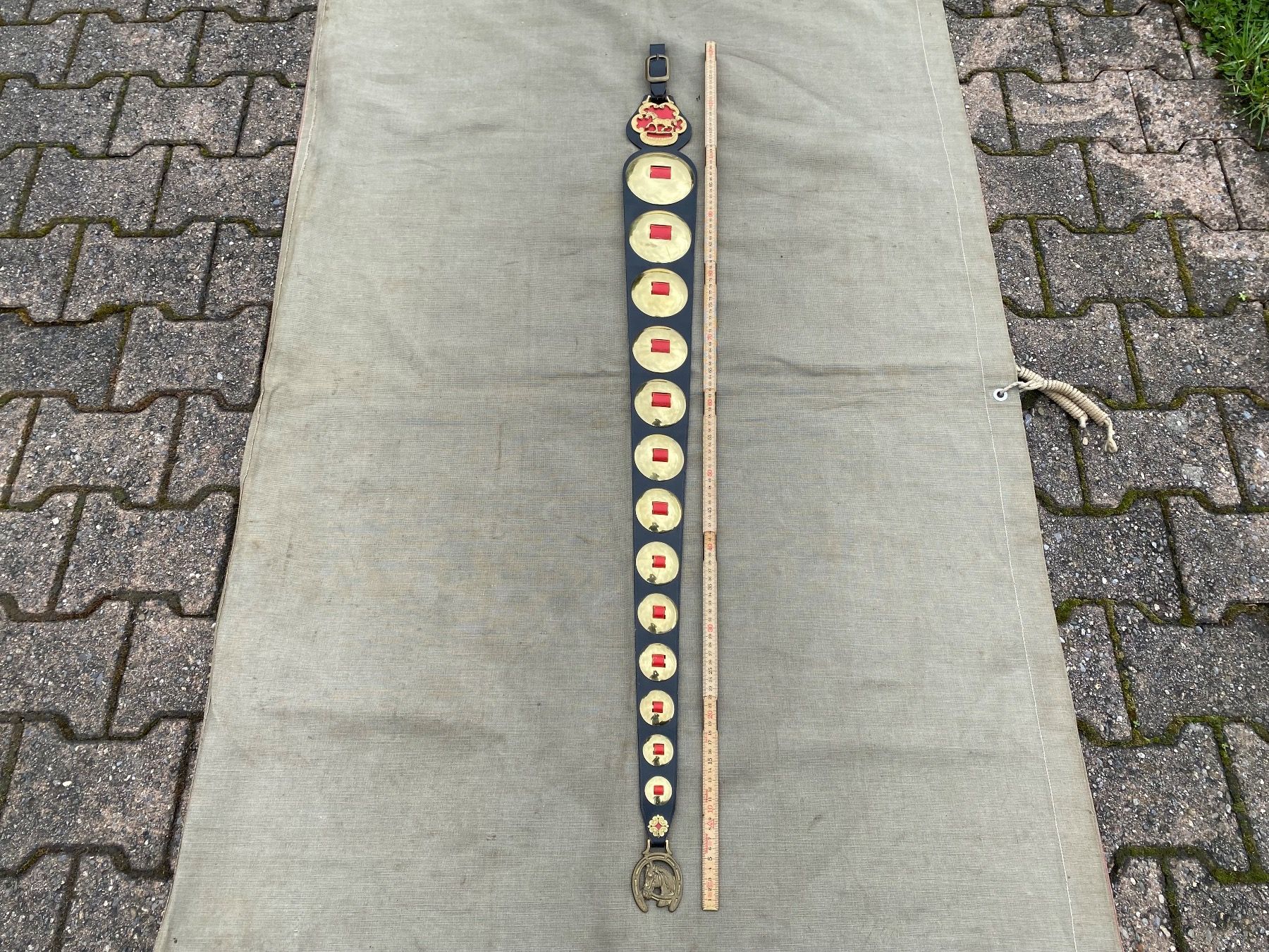 Campanacci mucche: schöner Staatsriemen mit Messing Rosetten – Usato da Feldbach venduto da Fea1 9