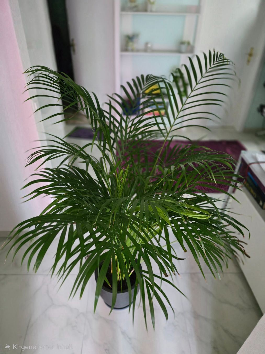 Plantes & graines: Goldfruchtpalme Zimmerpalme – D'occasion à Aarburg par Glitzerschein 1