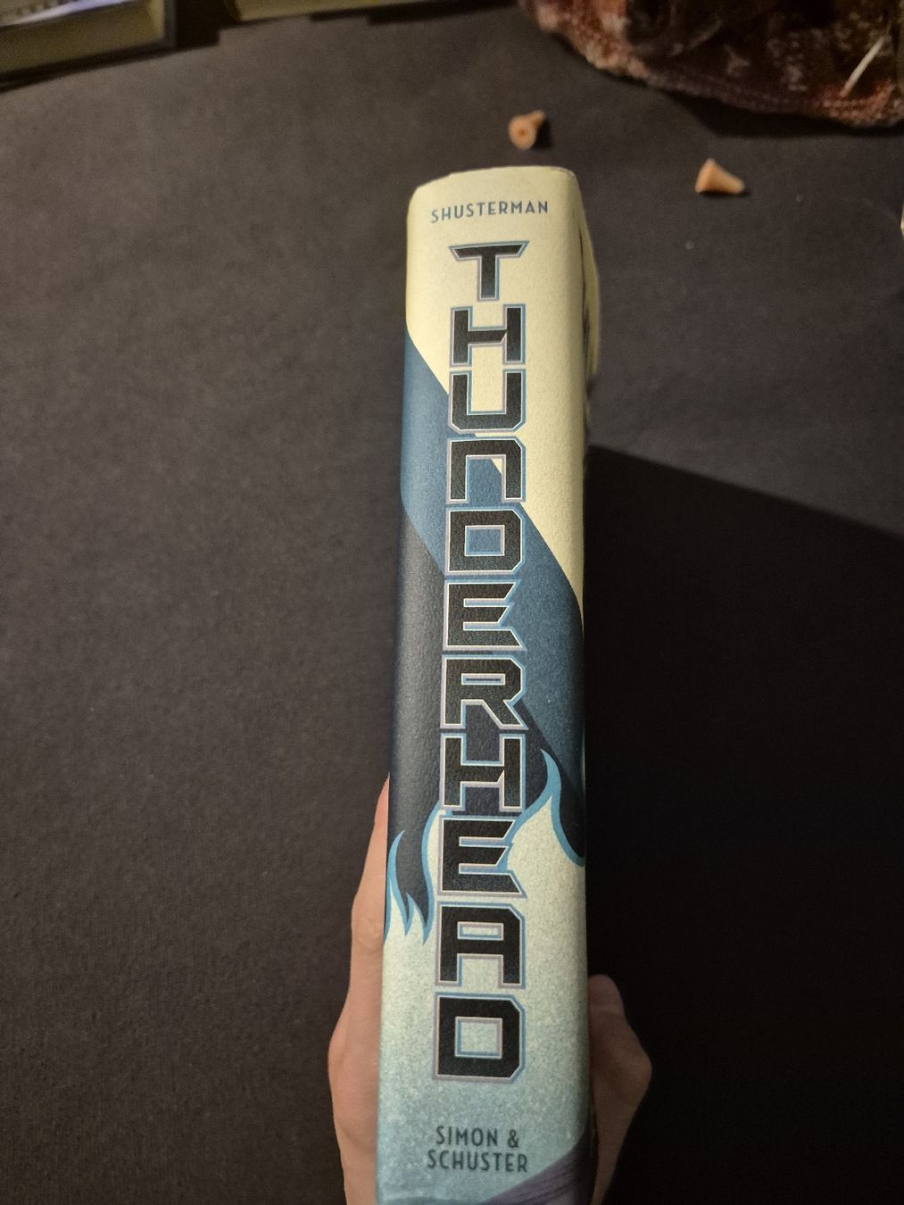 Bücher: Neal Shusterman -Thunderhead - – Gebraucht aus Nürensdorf von luc_9ksf 1