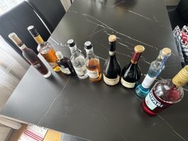 Diverse Spirituosen Sammlung - Ideal für die Bar