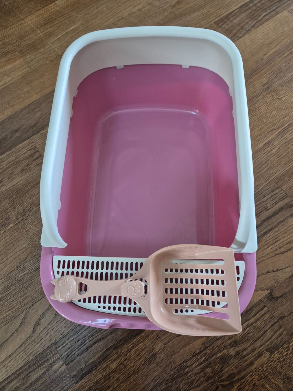 Cucce & Letti: Kitten litterbox new – Nuovo (secondo la descrizione) da Zürich venduto da monadiederich