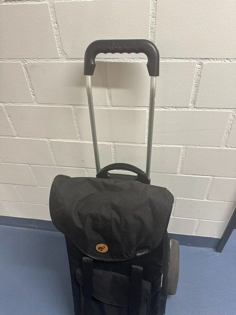 Altro per la casa: Einkaufstrolley Andersen Shopper – Usato da Pfäffikon ZH venduto da thf_rqs2 1