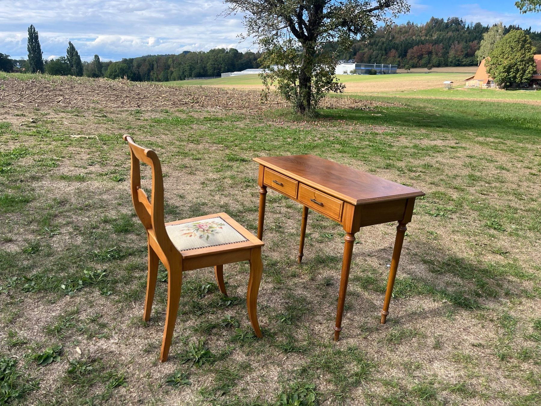 Tavoli: Tischli  und Stuhl – Usato da Allmendingen b. BE venduto da juair 7