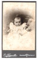 Fotografie E. Roggwiller, Lichtensteig-W
