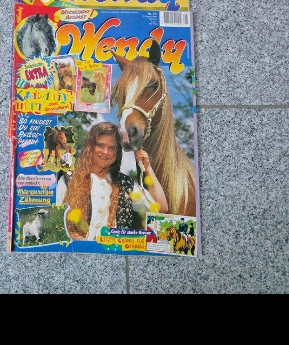 Fumetti: Wendy Comic Heft / Pferde Zeitschrift von 1996 – Usato da Tägerschen venduto da mamirockt