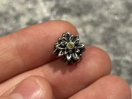 Pandora Edelweiss Blume Charm 🤍🌼 925er Silber, Top!