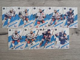 Eishockey Karten ZSC Playoff