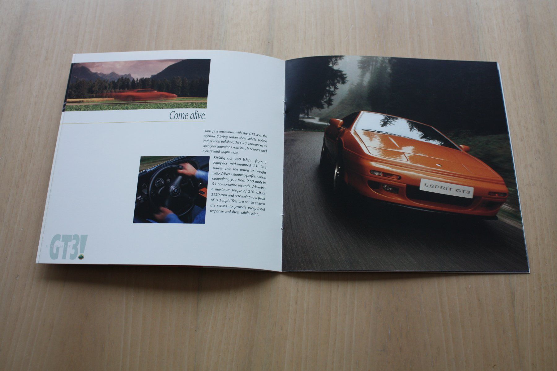 Lotus Documenti: Lotus Esprit GT3 Prospekt – Usato da Wikon venduto da erwin400 2